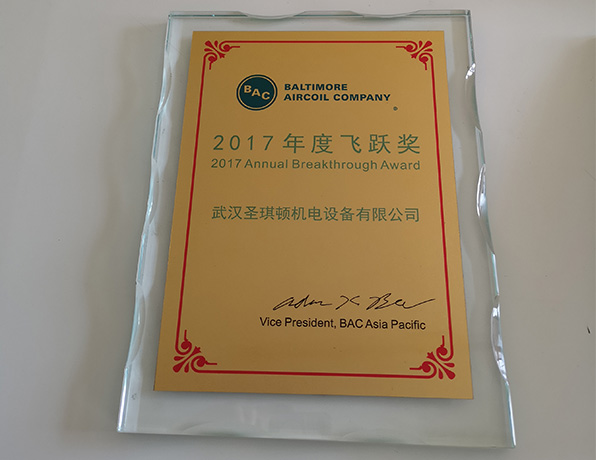 2017年度飞跃奖（BAC）